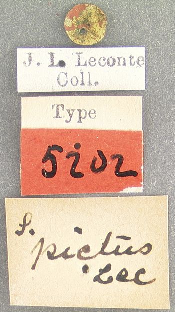 Media type: image;   Entomology 5202 Aspect: labels